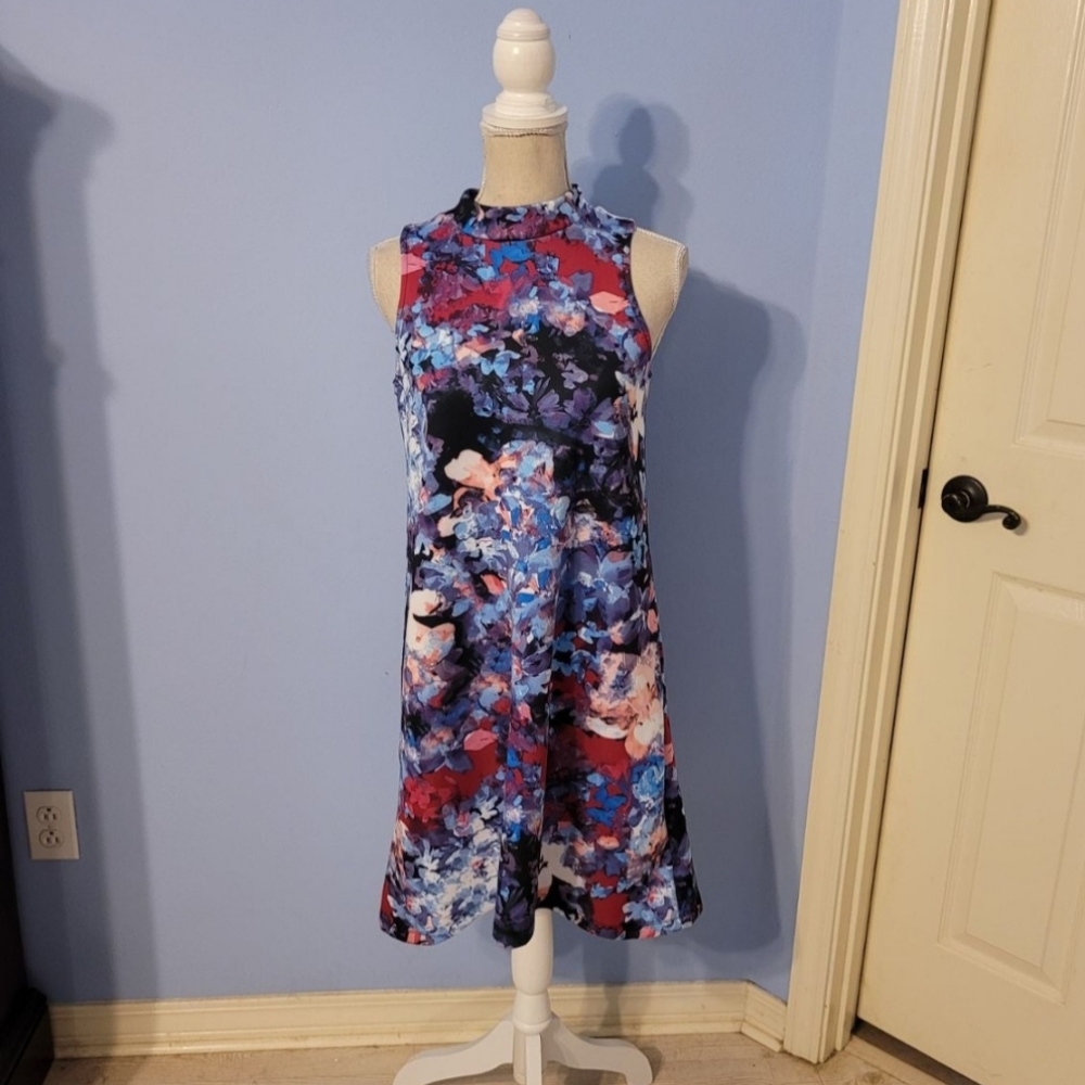 Belle Sky Small Womens Dress